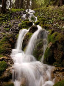 Appartement à louer proche de la nature et des ruisseau | Les Coeurs de Marie